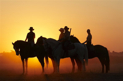 Sunset horse ride, Tuli Block, Botswana