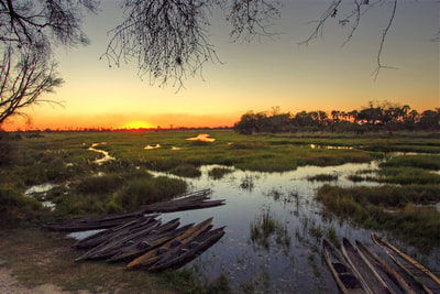 Mekoro at sunset, Okavango Delta