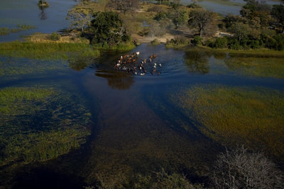 Okavango Horse Safaris, riding in the Delta