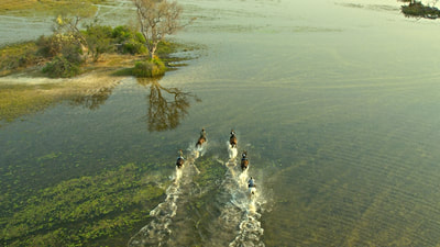 Riding through the water, Okavango Horse Safaris