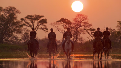 Riding at sunset, Okavango Horse Safaris