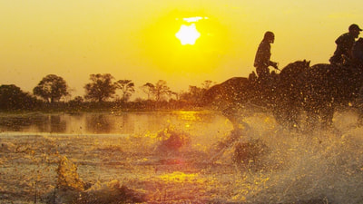 Horse Riding with Okavango Horse Safaris, Botswana