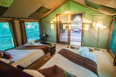 Pom Pom Camp guest tent interior