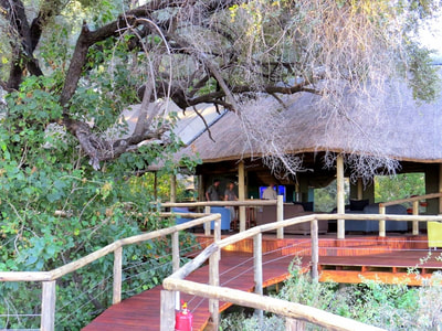 Lounge area and deck at Rra Dinare, Botswana