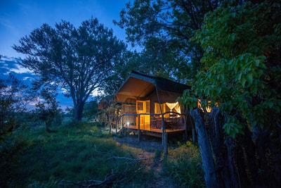 Tented accommodation, Sango Safari Camp, Botswana