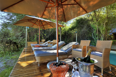 Savute Safari Lodge pool deck for relaxing