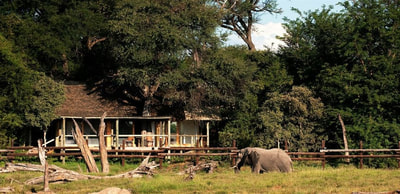 Savute Safari Lodge view of guest chalet